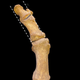 A deviated medieval toe, suggesting the individual suffered from bunions.